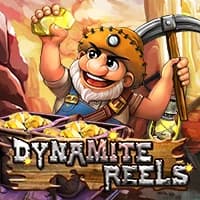 Dynamite Reels
