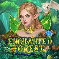 Enchanted Forest