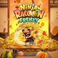 Ninja Raccoon Frenzy