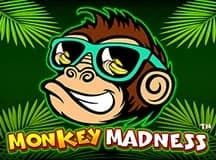 Monkey Madness