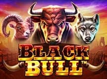 Black Bull